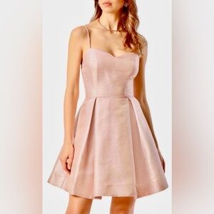 NWT Avec Les Filles Pleated Fit & Flare Mini Skater Mini Dress Simmer Pink